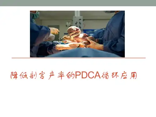 降低剖宫产率的PDCA循环应用 PPT课件