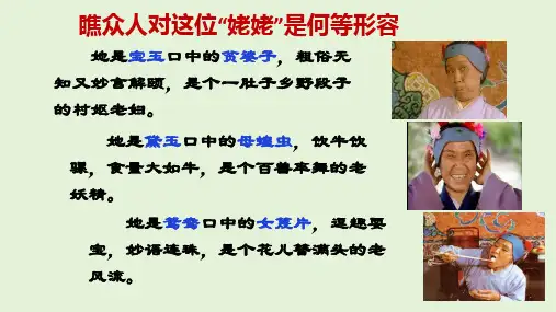整本书阅读《红楼梦》刘姥姥人物解读(43张PPT)
