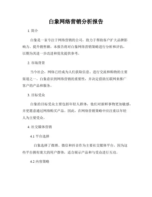 白象网络营销分析报告