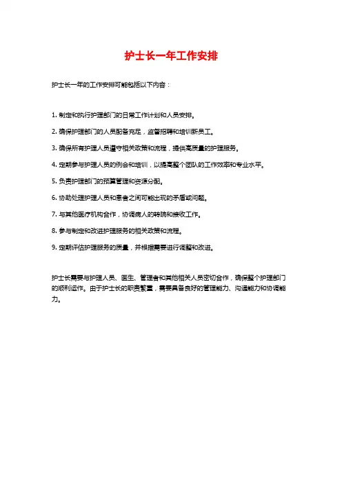 护士长一年工作安排