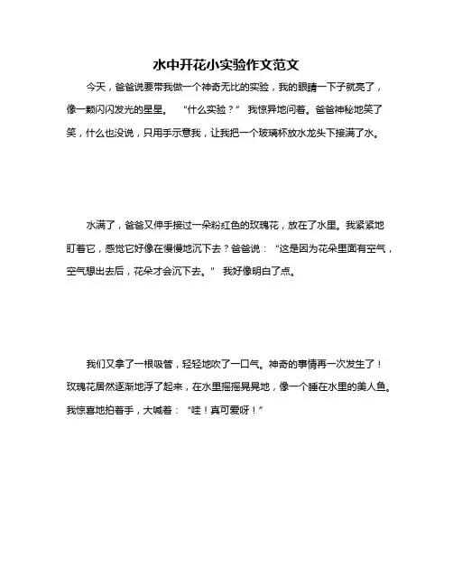 水中开花小实验作文范文