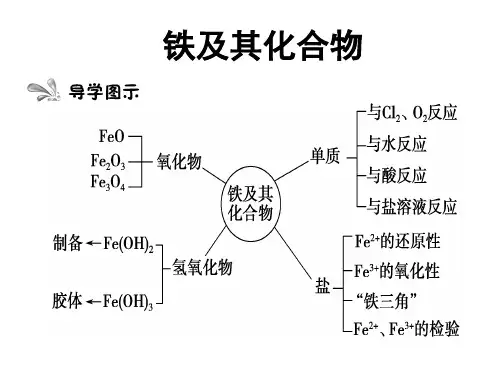 铁及其化合物高三第一轮复习