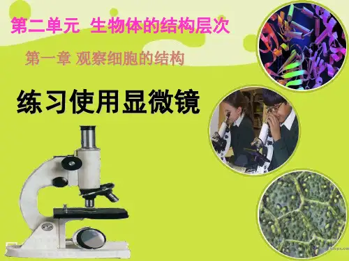 鲁科版 六年级生物上2.1.1练习使用显微镜(26张ppt)