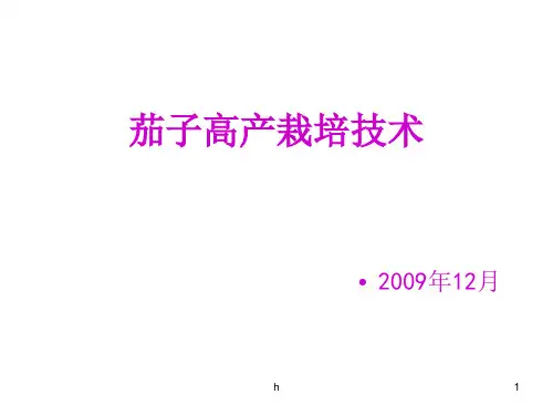 《茄子高产栽培技术》PPT课件