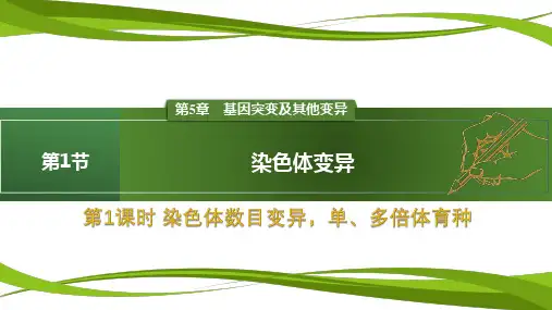 5.2 染色体变异 ( 第1课时)(课件)高一生物(人教版2019必修2)