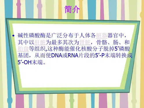 碱性磷酸酶的检测与临床应用(共31张PPT)
