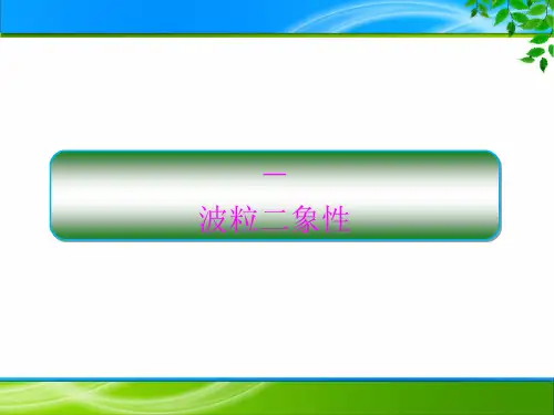 波粒二象性 