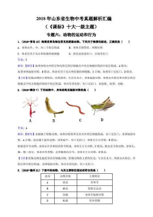 2018年山东省生物中考真题解析汇编专题六：动物的运动和行为(解析卷)