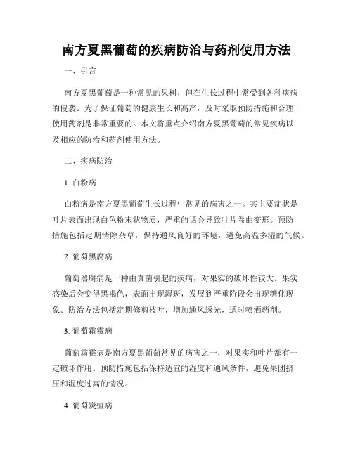 南方夏黑葡萄的疾病防治与药剂使用方法