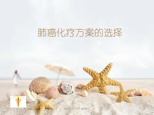 肺癌化疗药物 ppt课件