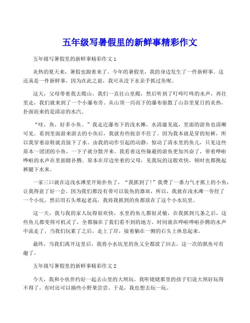 五年级写暑假里的新鲜事精彩作文