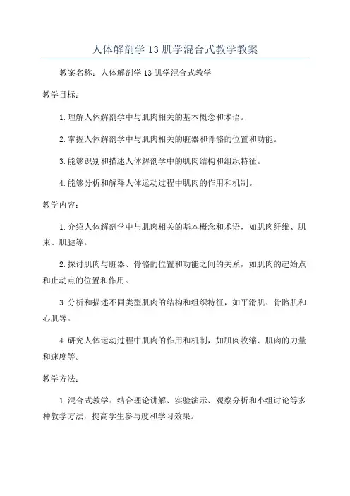 人体解剖学13肌学混合式教学教案