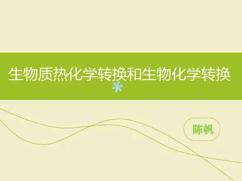 生物质的热化学转换