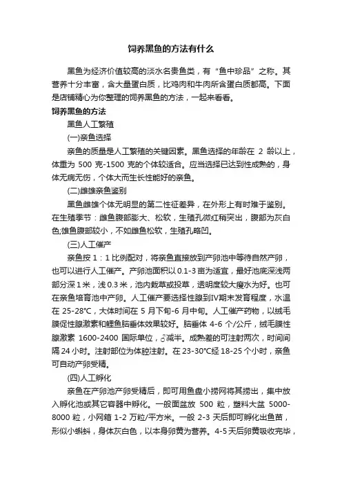 饲养黑鱼的方法有什么