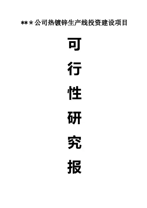 热镀锌生产线投资建设项目可行性研究报告