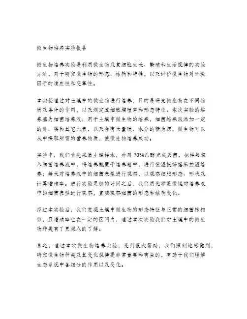 土壤中微生物培养实验报告
