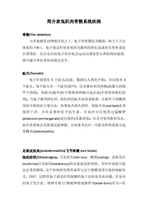 简介家兔肌肉骨骼系统疾病
