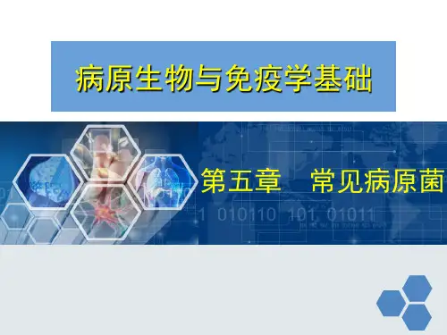 病原微生物免疫学第5章 常见病原菌