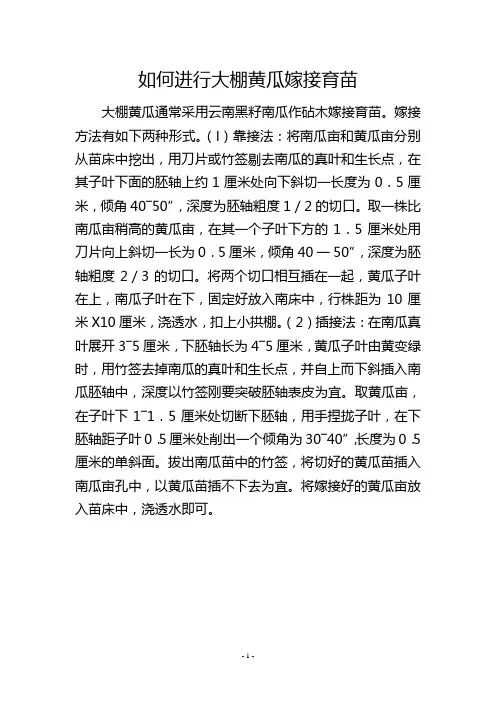 如何进行大棚黄瓜嫁接育苗