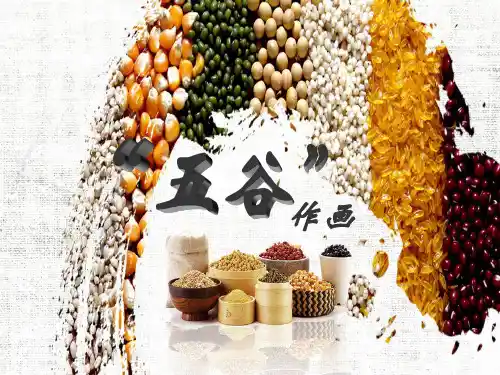 四年级下册五谷作画模板