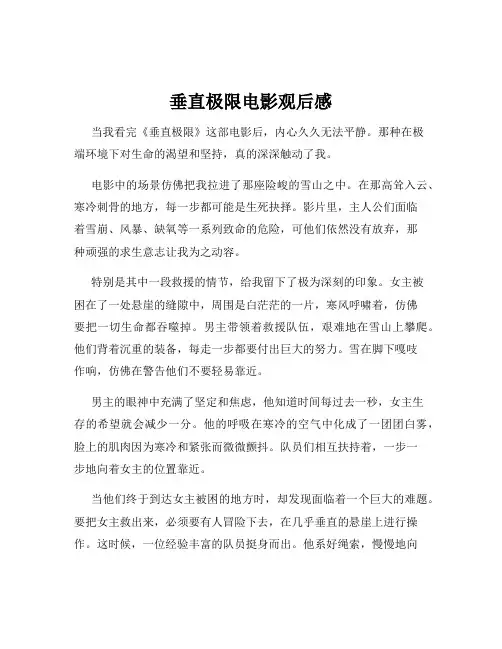 垂直极限电影观后感