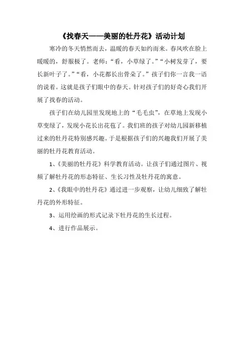 幼儿园：美丽的牡丹花