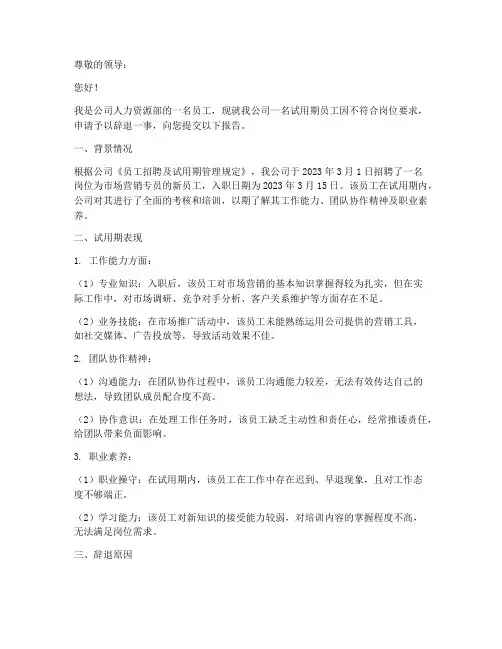 试用期辞退人员申请报告