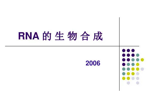 分子生物学课件第七章 RNA的生物合成