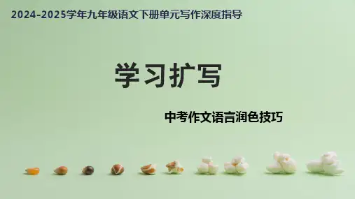 学习扩写+中考作文语言润色技巧-课】2024-2025学年九年级语文下册单元写作深度指导(统编版)