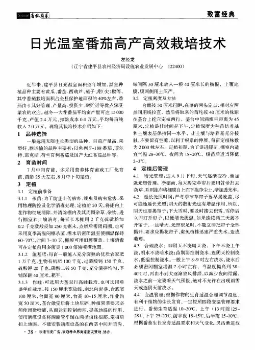 日光温室番茄高产高效栽培技术