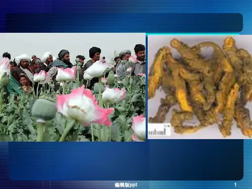 天然药物化学教学资料 天然药化9 生物碱
