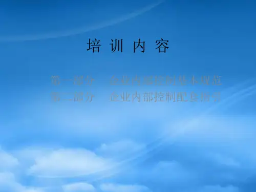内控制度与风险防范培训课件