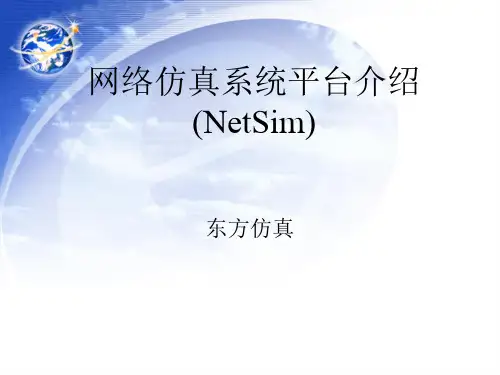 网络仿真系统平台(NetSim)
