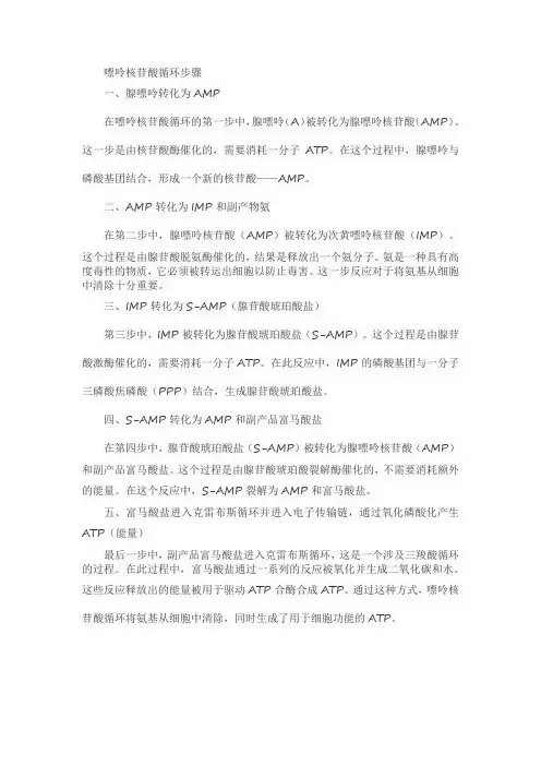 嘌呤核苷酸循环步骤