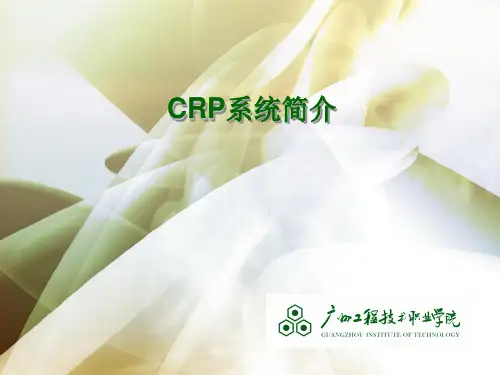 CRP系统简介(技术及部署演示)