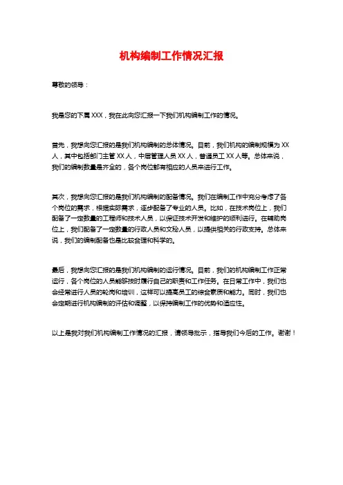 机构编制工作情况汇报