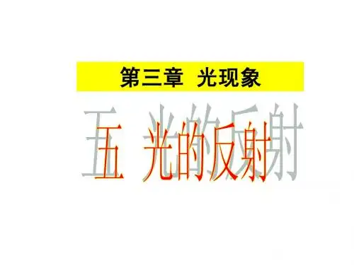 光的反射(苏科版)