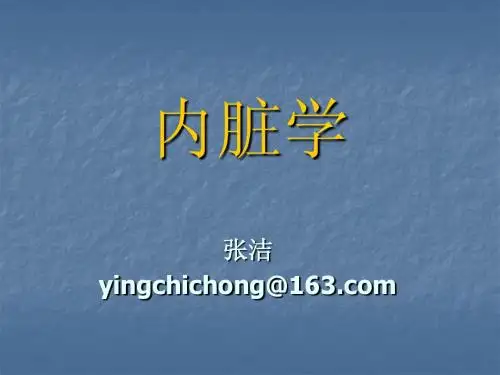 内脏2