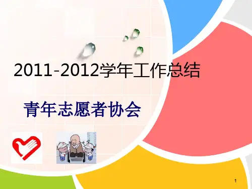 青年志愿者协会总结PPT课件