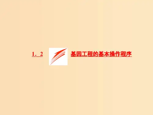 高中生物专题1基因工程1.2基因工程的基本操作程序新人教版选修3 