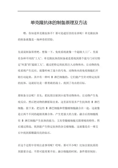 单克隆抗体的制备原理及方法