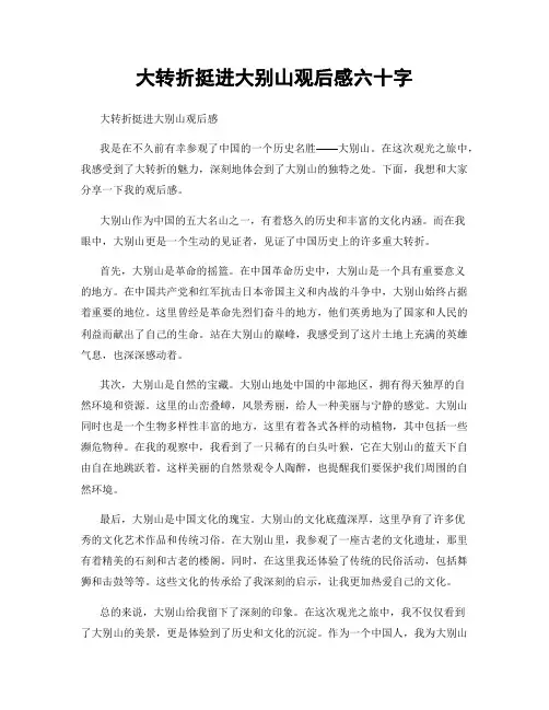 大转折挺进大别山观后感六十字