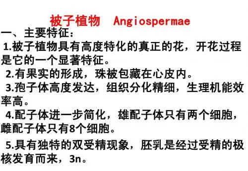 被子植物概述