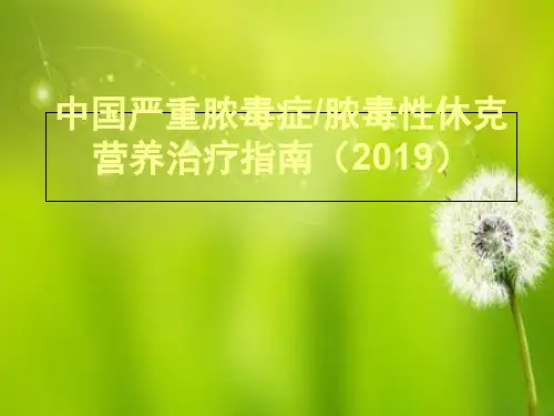 2019中国感染性休克指南.ppt