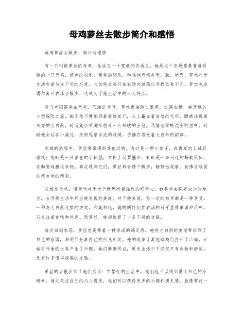 母鸡萝丝去散步简介和感悟