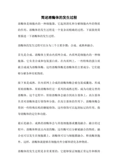 简述溶酶体的发生过程