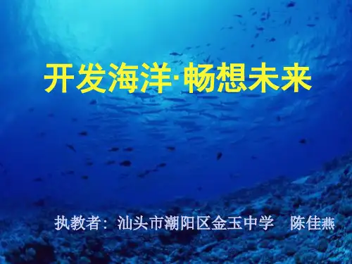10开发海洋·畅想未来