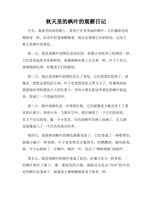 小学三年级作文秋天里的枫叶的观察日记