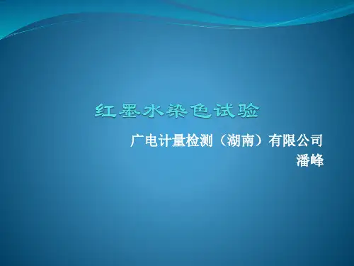 红墨水染色试验讲课教案