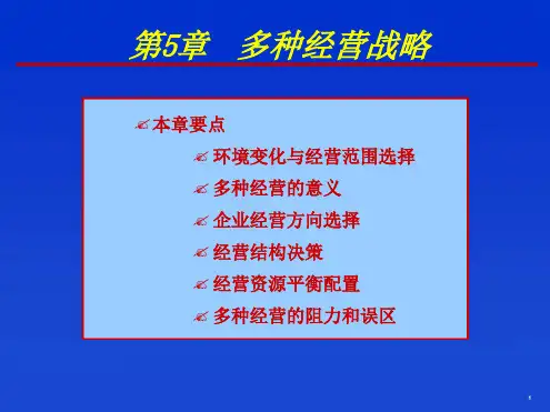 多种经营战略